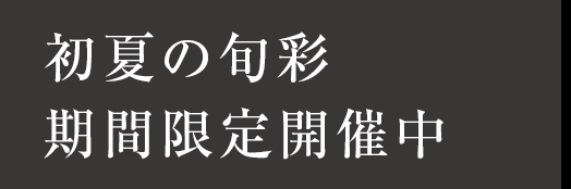 メニュー
