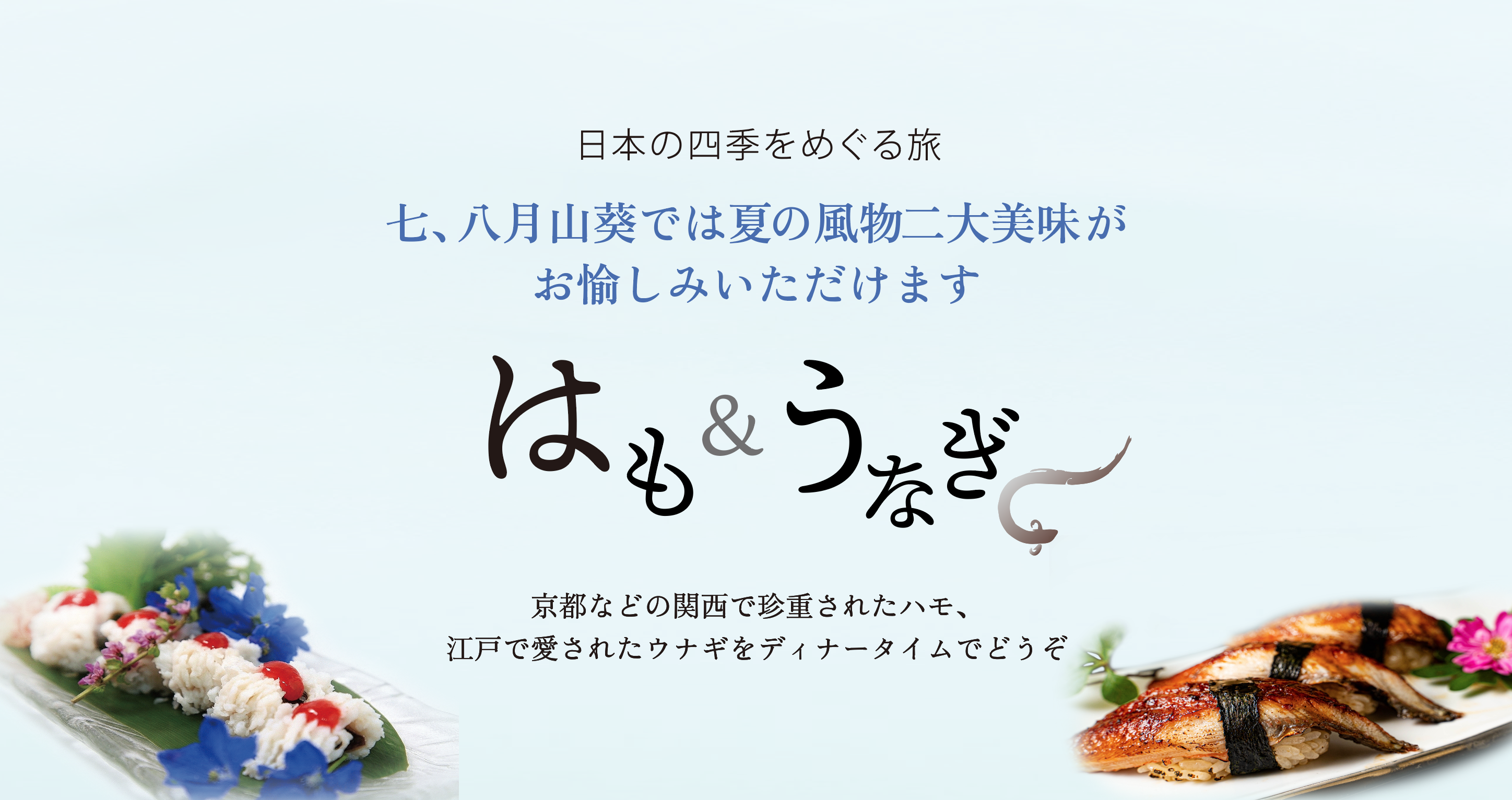 特選コース